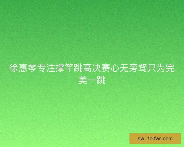 徐惠琴专注撑竿跳高决赛心无旁骛只为完美一跳 徐惠琴专注撑竿跳高决赛心无旁骛只为完美一跳